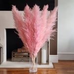 Large pink pampas grass 120cm Natural Dried Grass reed, Dried Flowers, Home Décor { Sold per stem } Free postage
