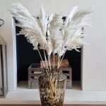Pampas grass white , soft , fluffy 90cm length, flower arrangements (10 stems)