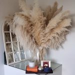 Pampas grass Dyed BEIGE Large & Fluffy  Grass Reed home decor 120cm { Sold per stem } free postage