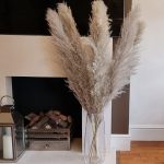 large light Grey fluffy pampas Grass 120 cm flower arrangement, home décor {Sold per Stem} Free postage