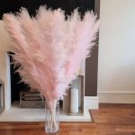 Pampas grass LIGHT PINK & Fluffy Grass Reed home décor 120cm { Sold per stem } Free postage