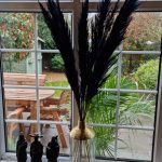 Pampas grass Black Large Dried grass Reed home décor 120 cm Promo bundles 5 stems