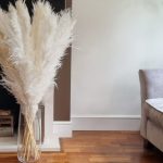 Pampas grass Cream Large Dried grass Reed home decor 120 cm Promo bundles 5
