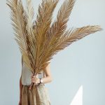 dried sago palms | flattened sago palm | palm leaf | dried palm leaf large 110cm { Sold in 3 branches Bundle } Free postage